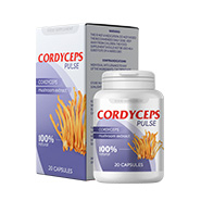 Cordyceps Pulse PL lungs produkt