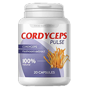Cordyceps Pulse produkt